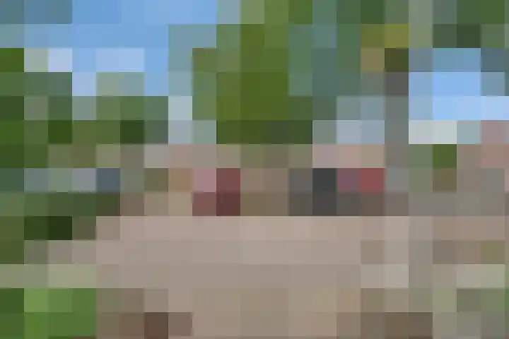 Barneveldsebeek 8 Zwolle thumbnail 29