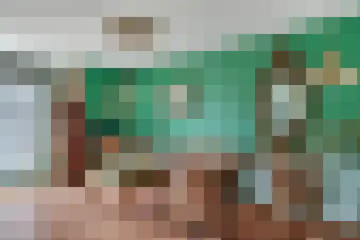 Barneveldsebeek 8 Zwolle thumbnail 4