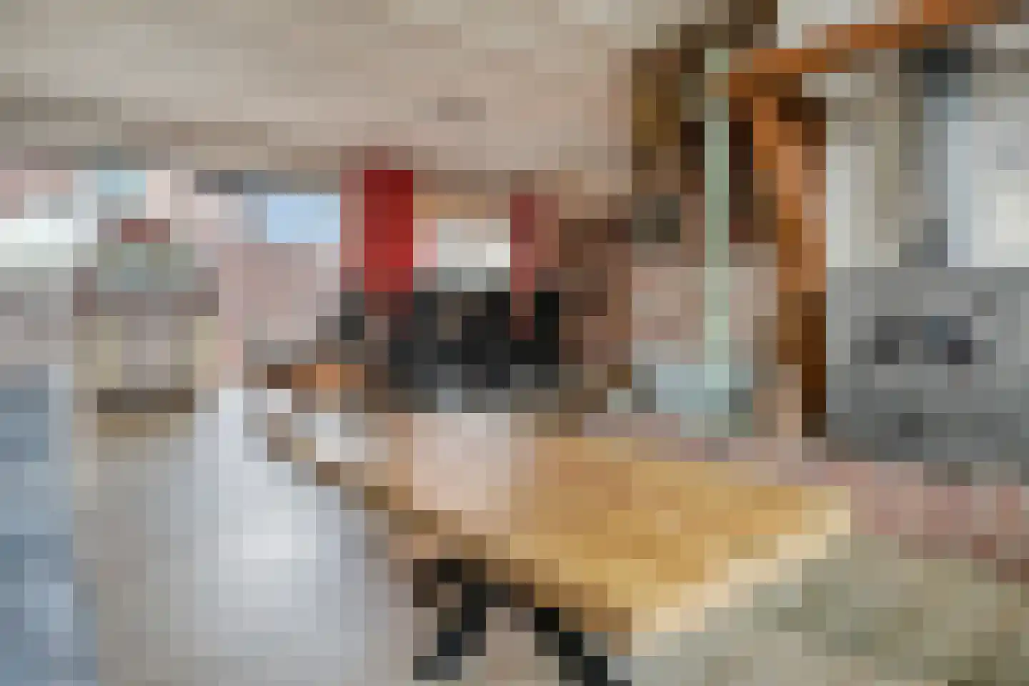 Barneveldsestraat 1 Renswoude thumbnail 10