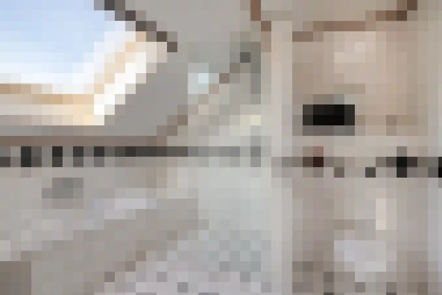 Barneveldsestraat 1 Renswoude thumbnail 20