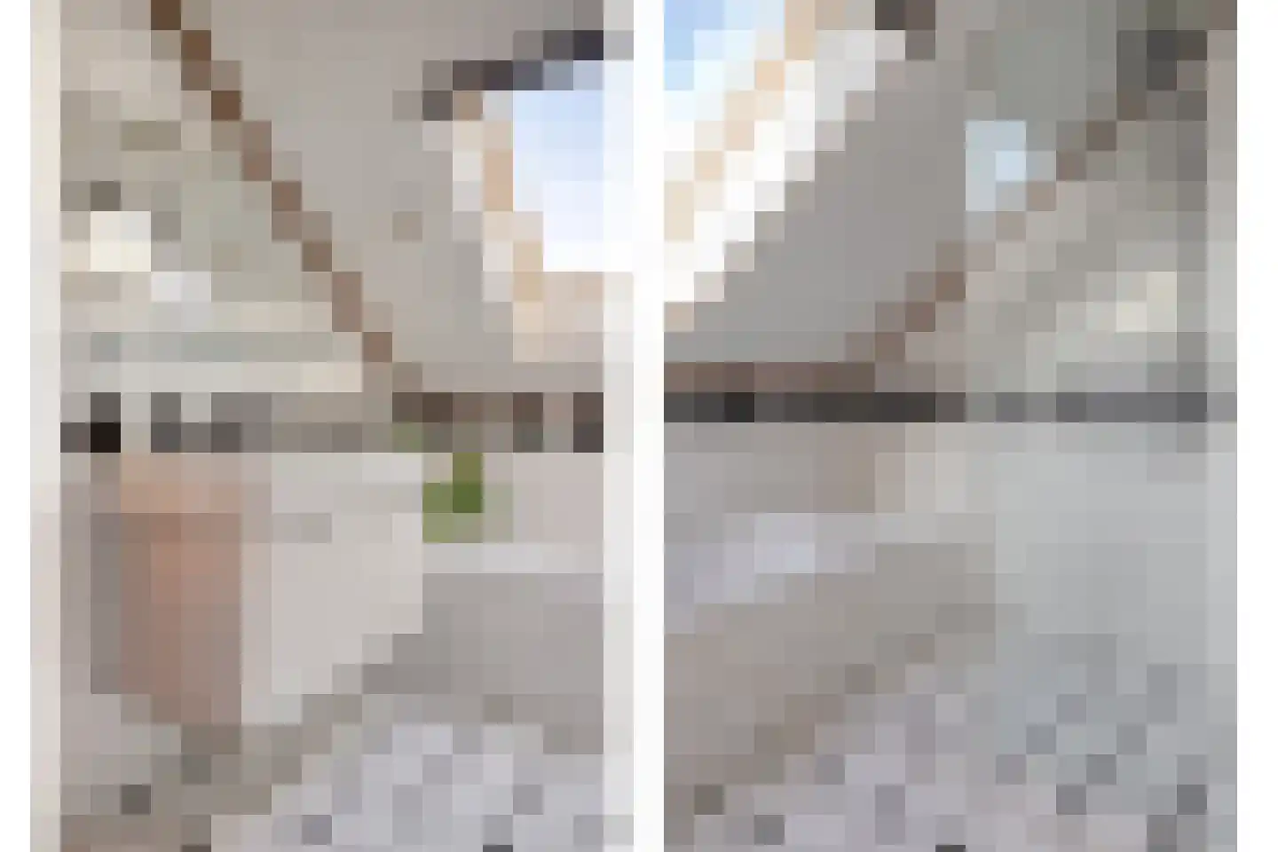 Barneveldsestraat 1 Renswoude thumbnail 21