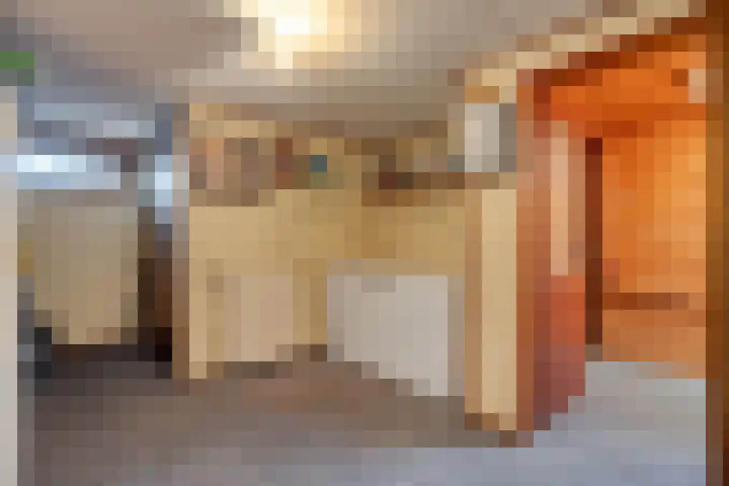 Barneveldsestraat 1 Renswoude thumbnail 27