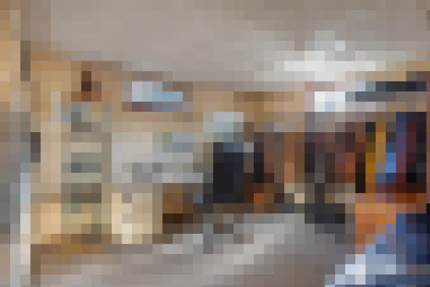 Barneveldsestraat 1 Renswoude thumbnail 30