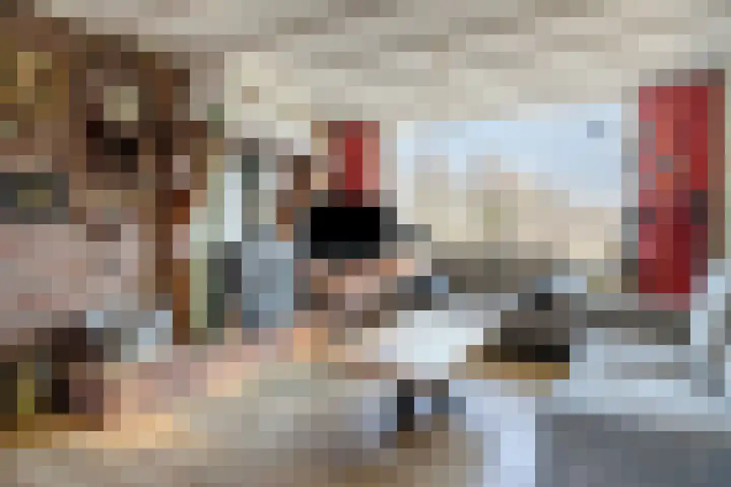 Barneveldsestraat 1 Renswoude thumbnail 4