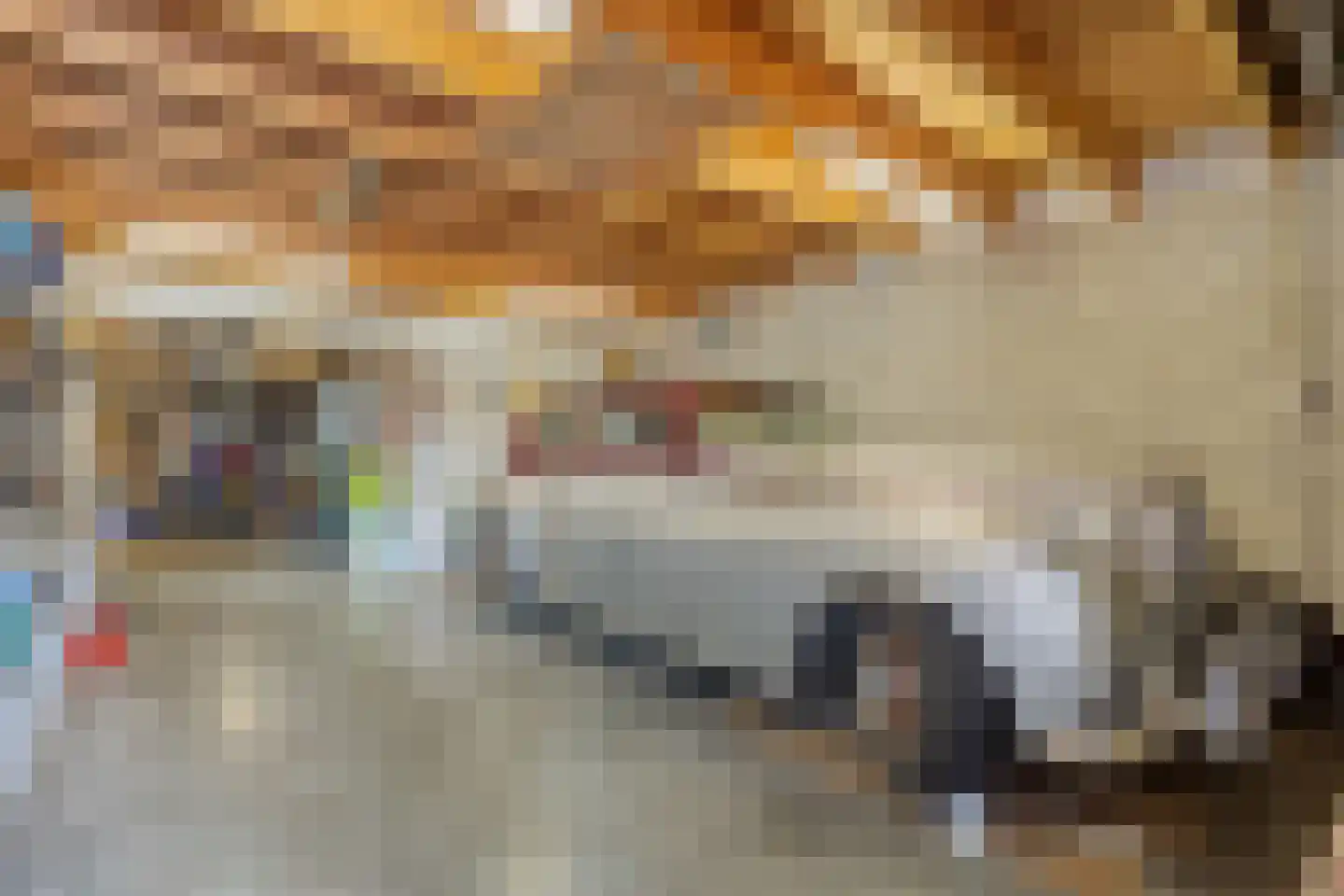 Barneveldsestraat 1 Renswoude thumbnail 41