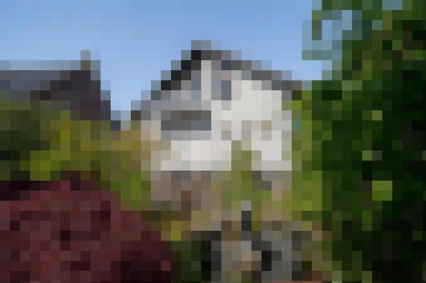 Barneveldsestraat 1 Renswoude thumbnail 47