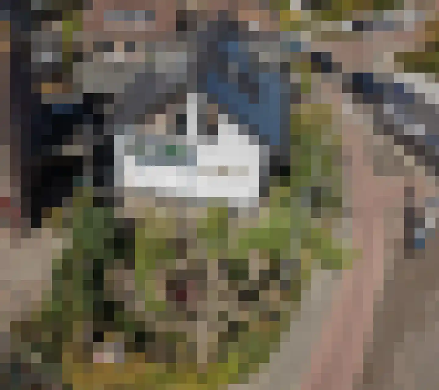 Barneveldsestraat 1 Renswoude thumbnail 48