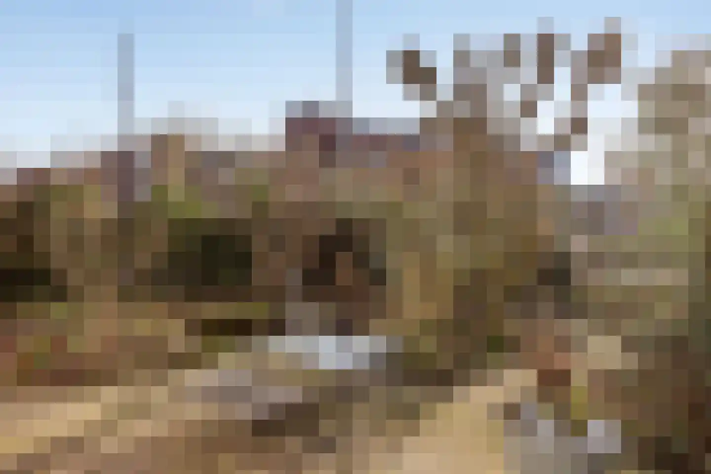 Barneveldsestraat 1 Renswoude thumbnail 6