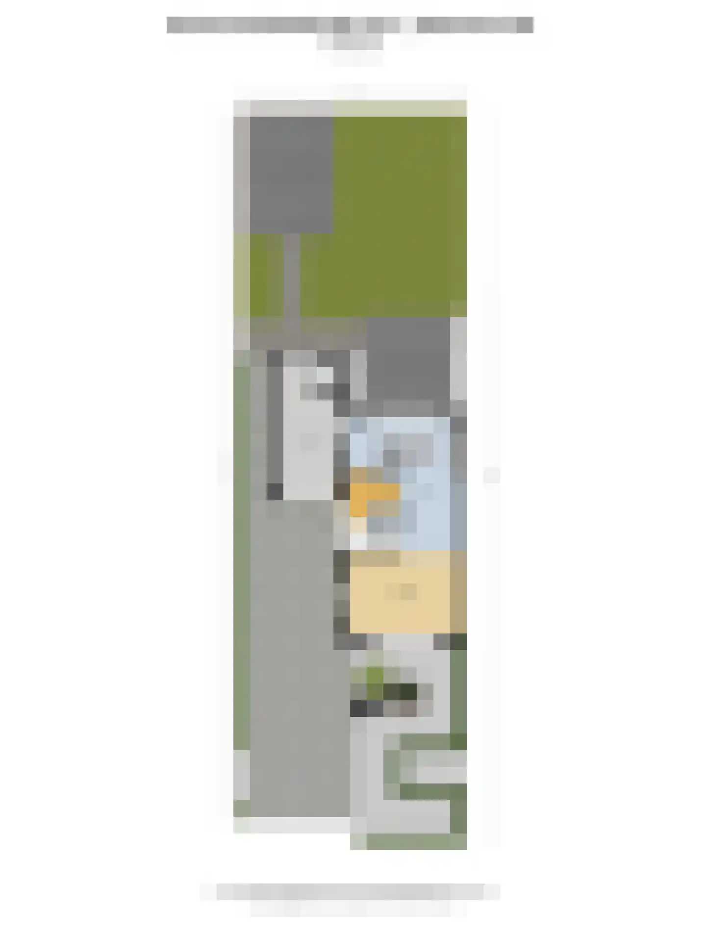 Barneveldsestraat 20 c Renswoude thumbnail 45