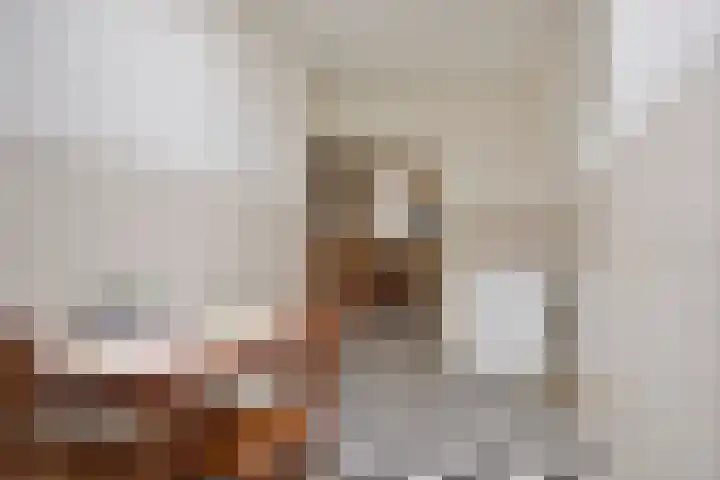 Barneveldsestraat 25 Renswoude thumbnail 17