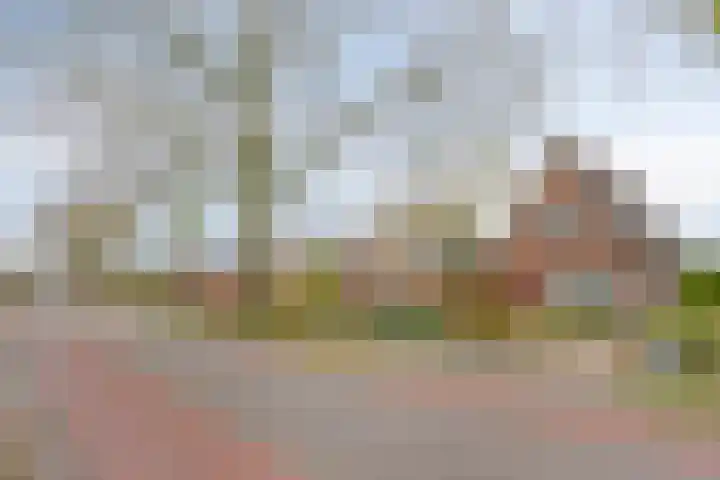 Barneveldsestraat 25 Renswoude thumbnail 43
