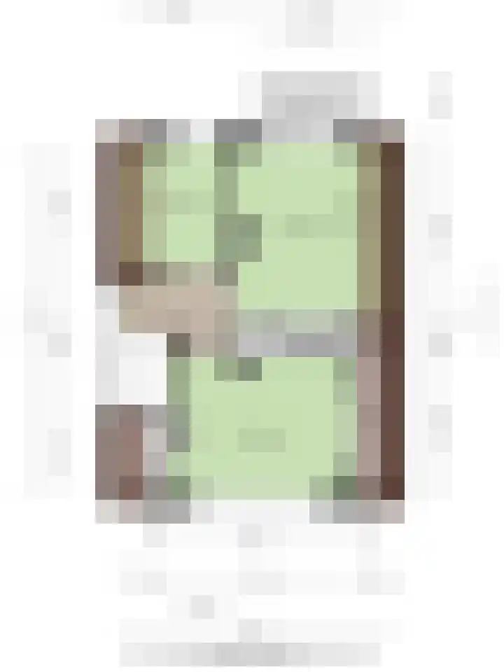 Barneveldsestraat 25 Renswoude thumbnail 47
