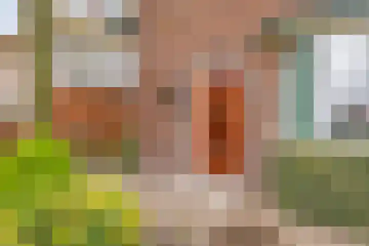 Barneveldsestraat 25 Renswoude thumbnail 5