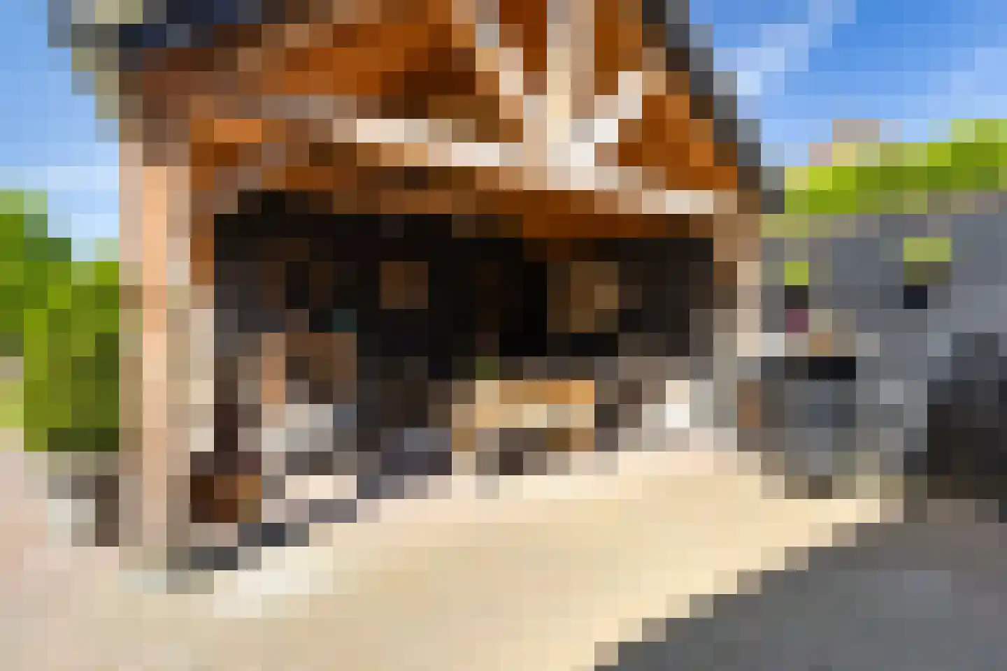 Barneveldseweg 141 Nijkerk thumbnail 56