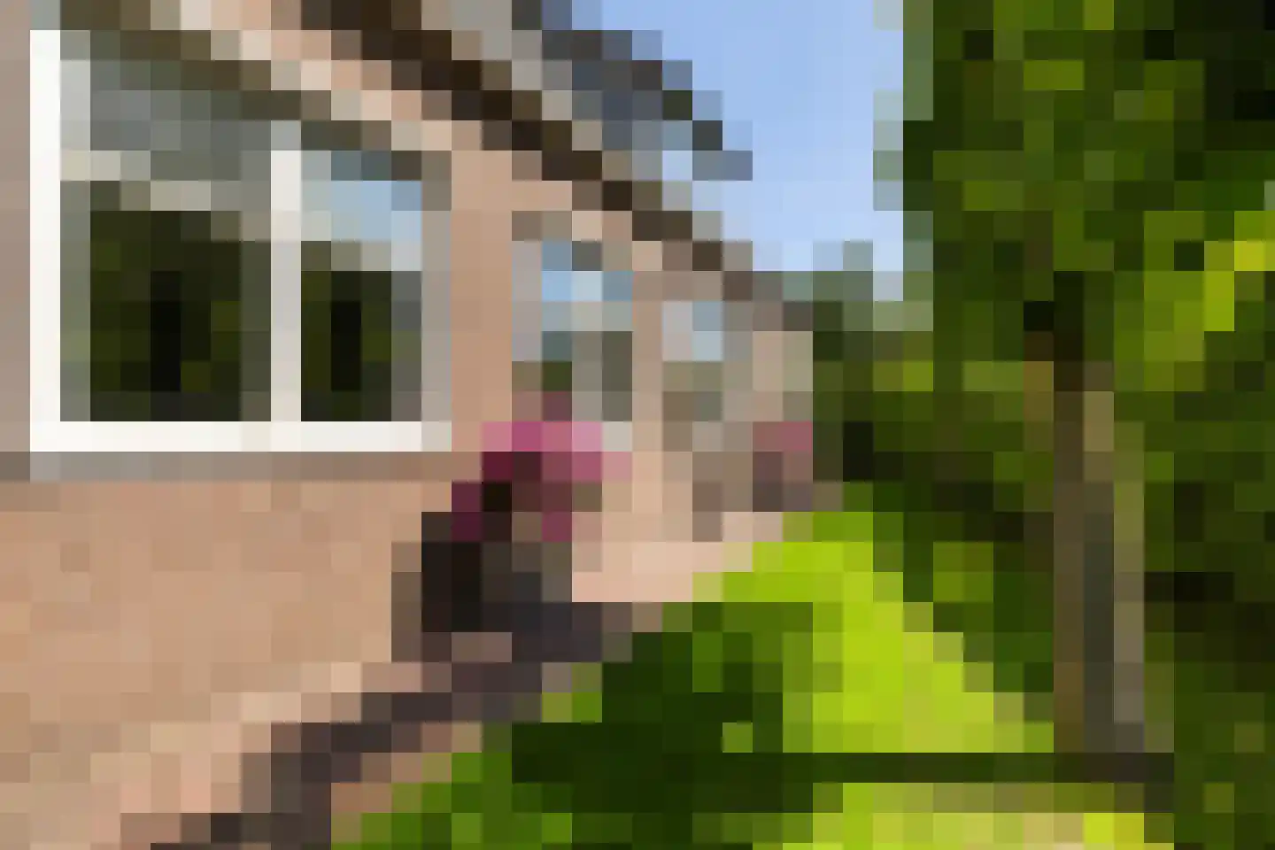 Barneveldseweg 141 Nijkerk thumbnail 68