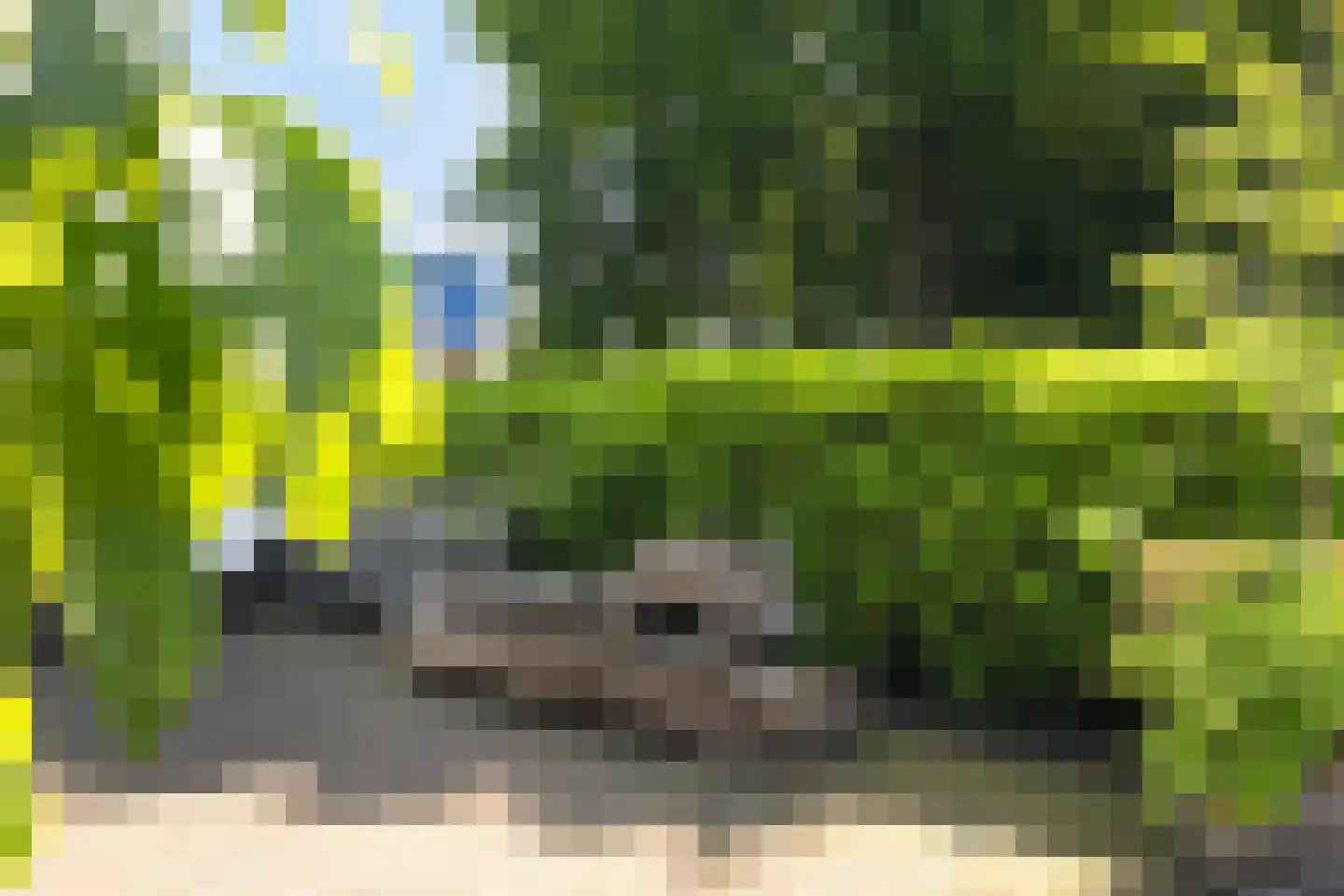 Barneveldseweg 141 Nijkerk thumbnail 70