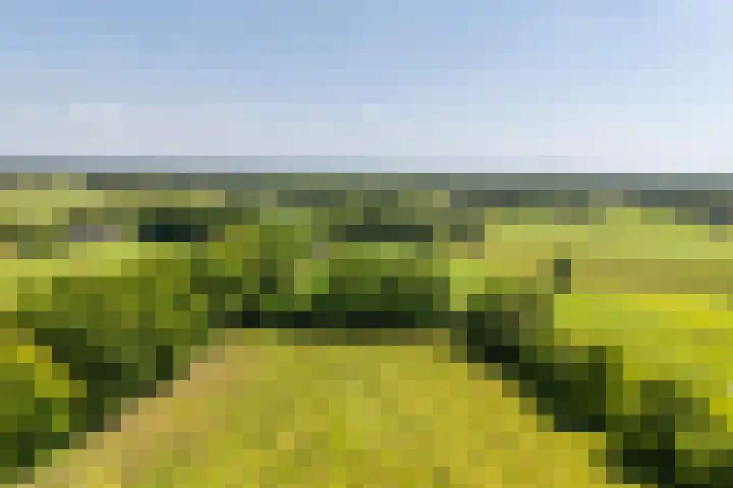 Barneveldseweg 141 Nijkerk thumbnail 73