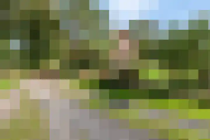 Barneveldseweg 162 Nijkerk thumbnail 4