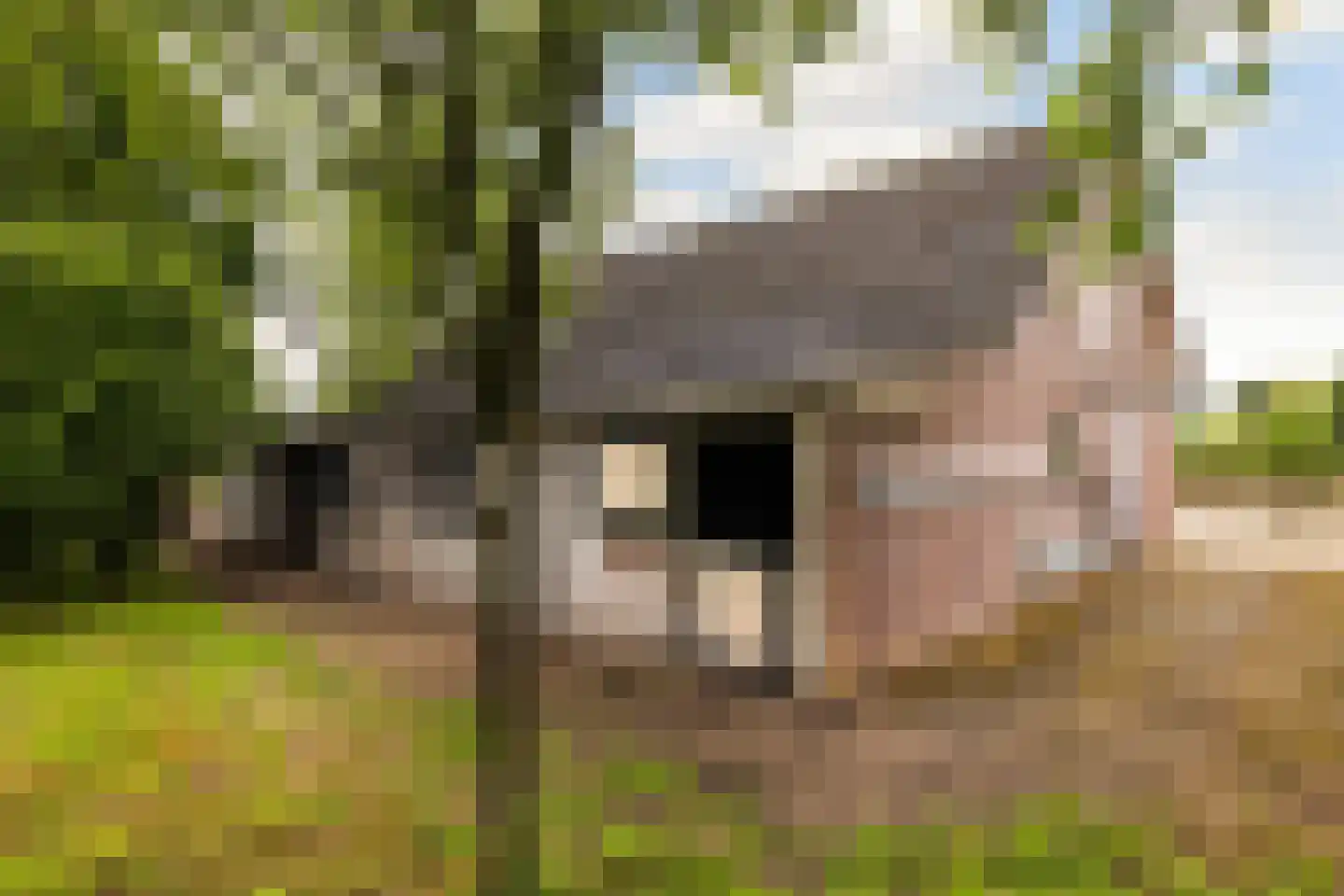 Barneveldseweg 5 Otterlo thumbnail 31