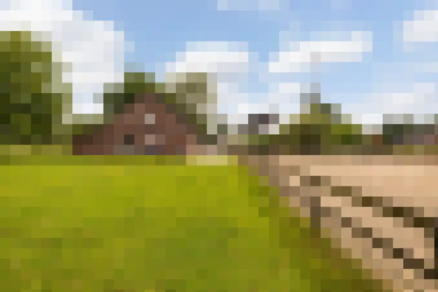 Barneveldseweg 5 Otterlo thumbnail 33