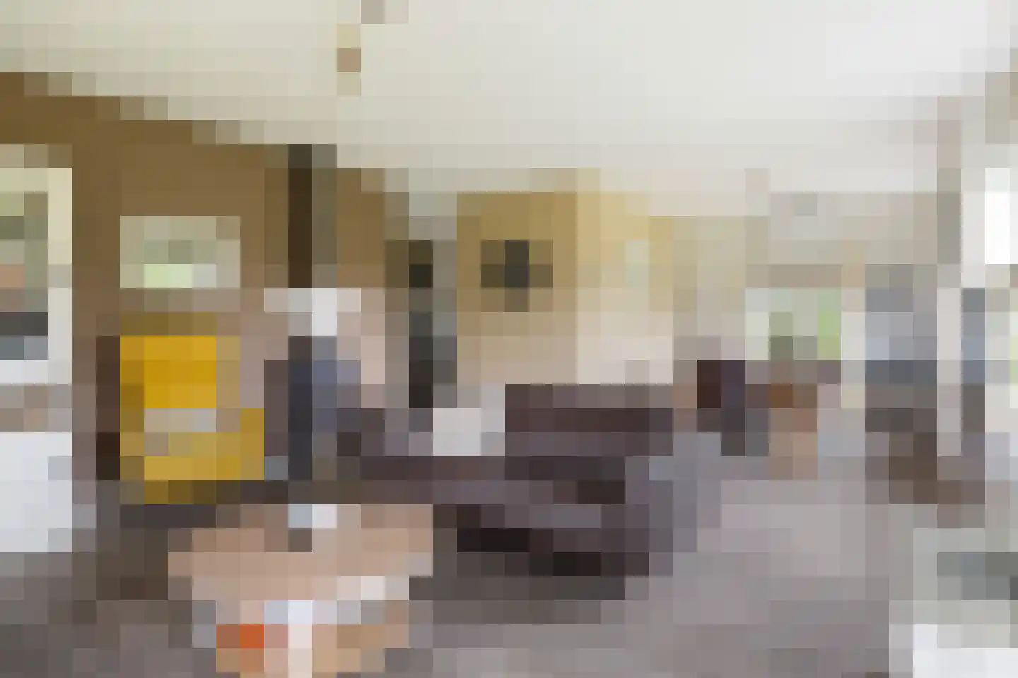 Barneveldseweg 5 Otterlo thumbnail 7