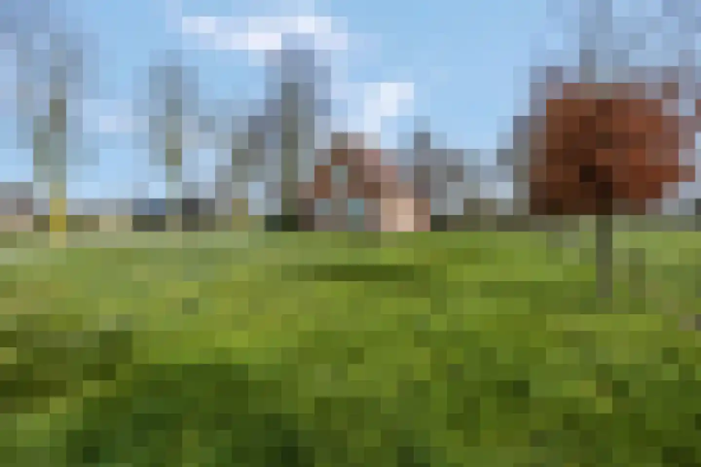 Barneveldseweg 50 Lunteren thumbnail 46