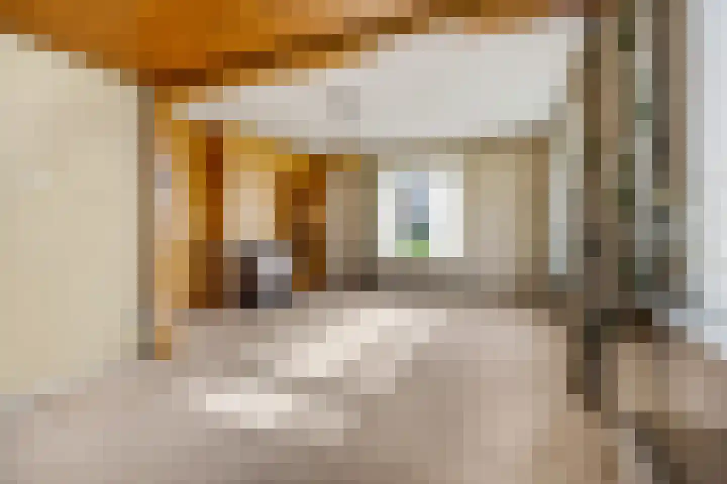 Barneveldseweg 50 Lunteren thumbnail 5