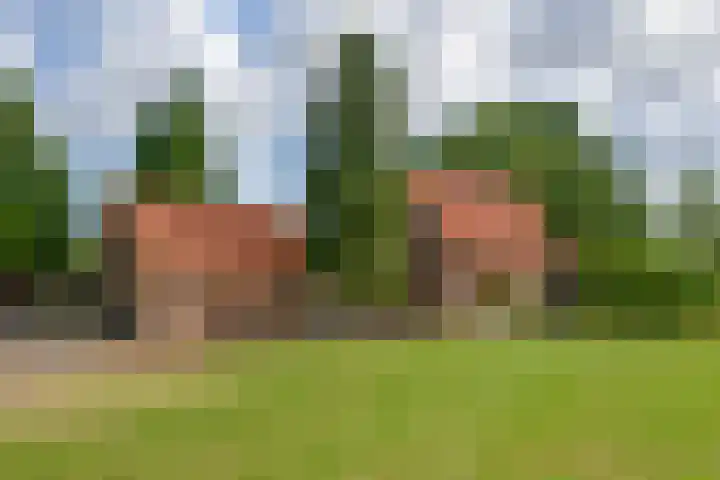 Barneveldseweg 7 Otterlo thumbnail 19