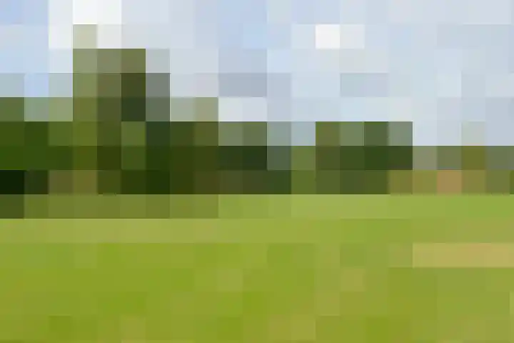 Barneveldseweg 7 Otterlo thumbnail 29