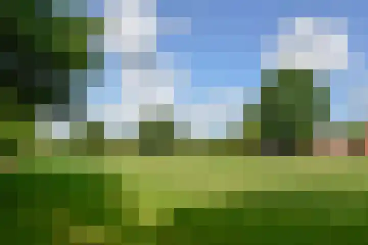 Barneveldseweg 7 Otterlo thumbnail 31