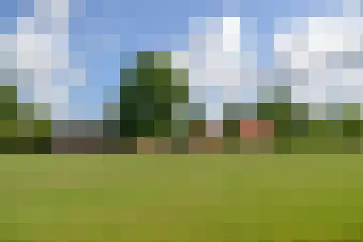 Barneveldseweg 7 Otterlo thumbnail 32