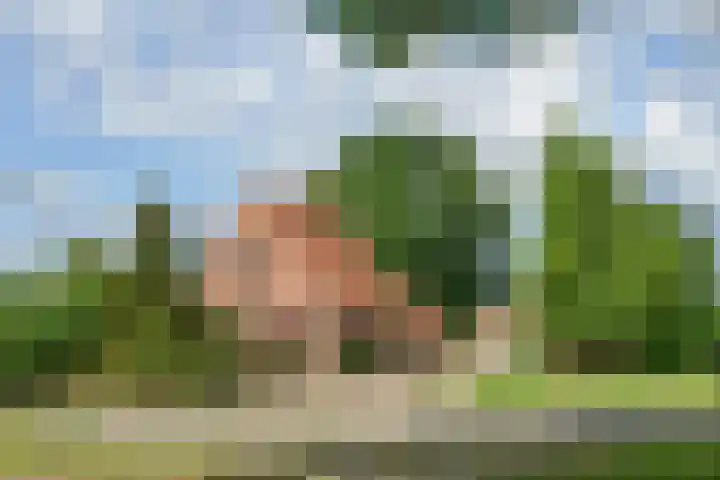 Barneveldseweg 7 Otterlo thumbnail 33