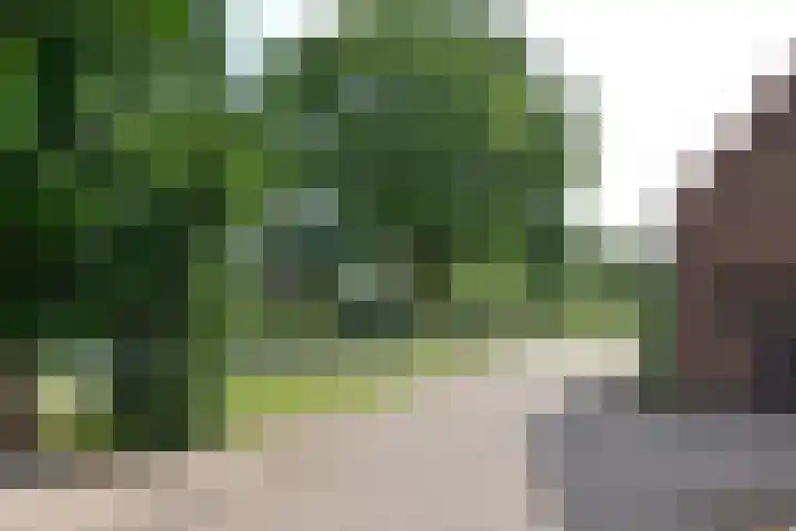 Barneveldseweg 7 Otterlo thumbnail 34