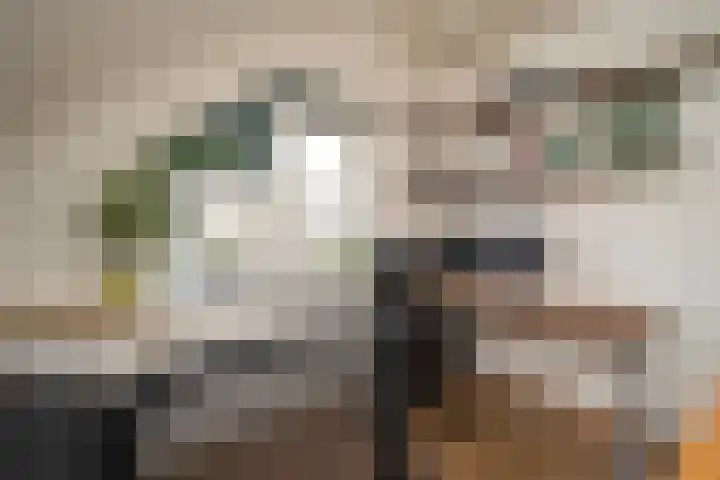 Barneveldstraat 12 Tilburg thumbnail 37