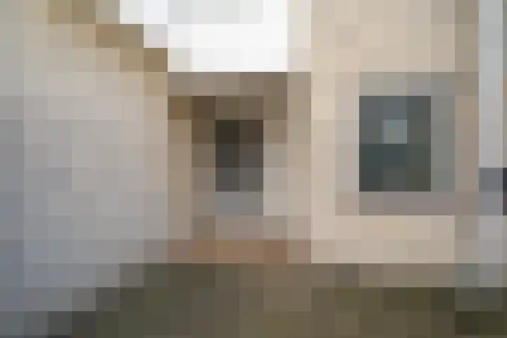 Barneveldstraat 12 Tilburg thumbnail 6