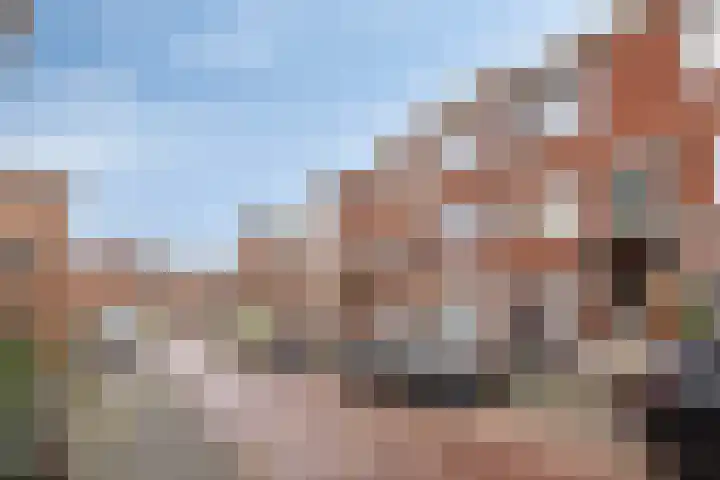 Barneveldstraat 21 Den Haag thumbnail 18