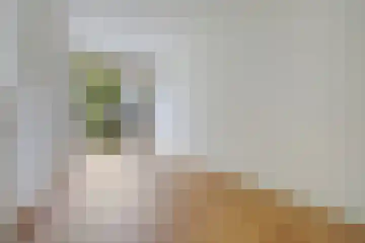 Barneveldstraat 27 Den Haag thumbnail 10