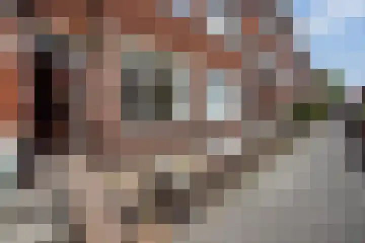 Barneveldstraat 27 Den Haag thumbnail 24