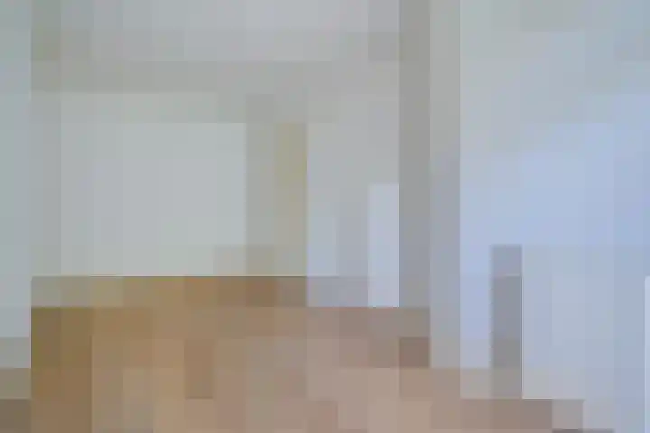 Barneveldstraat 27 Den Haag thumbnail 8