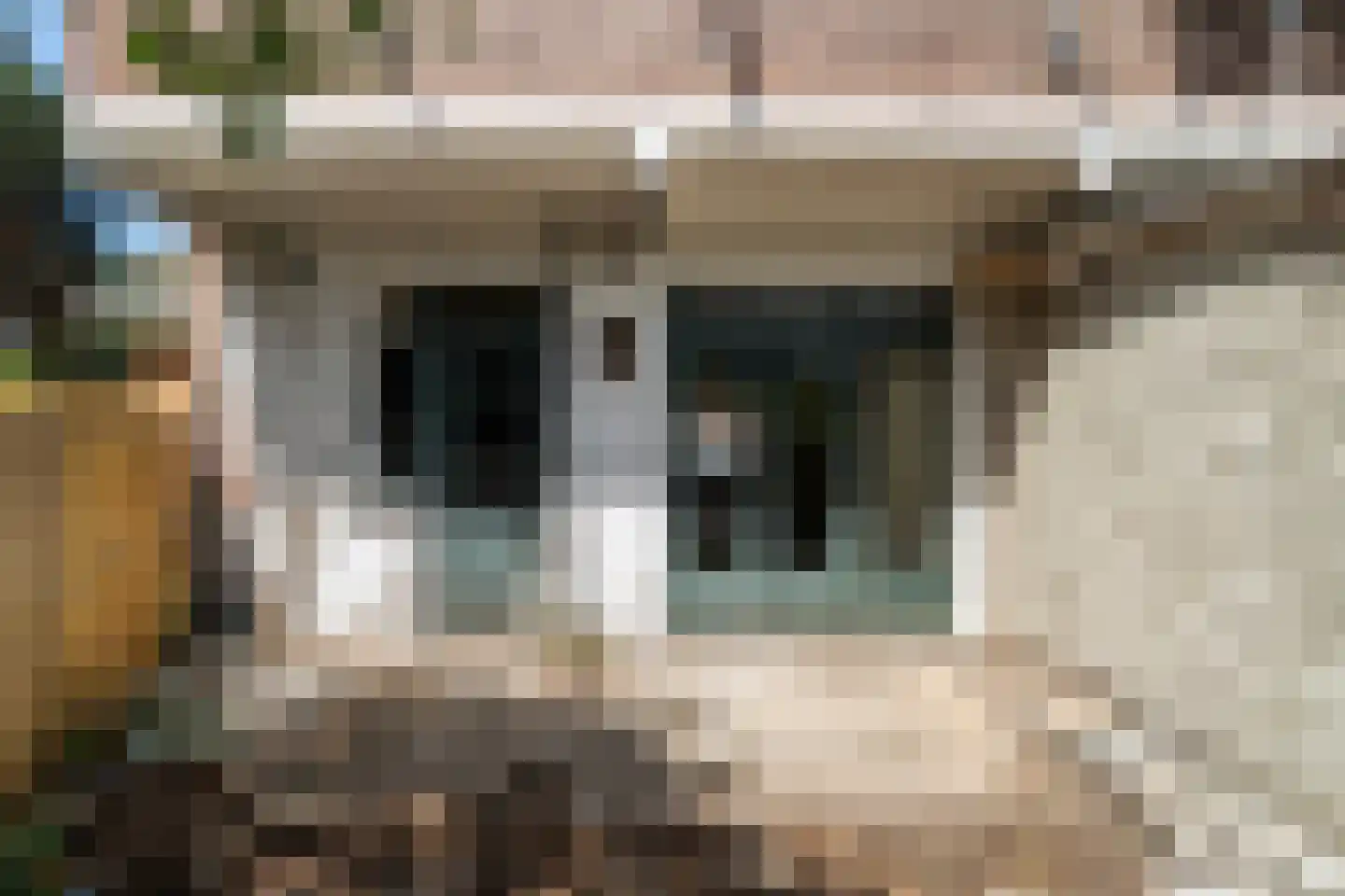 Barneveldstraat 32 Den Haag thumbnail 14