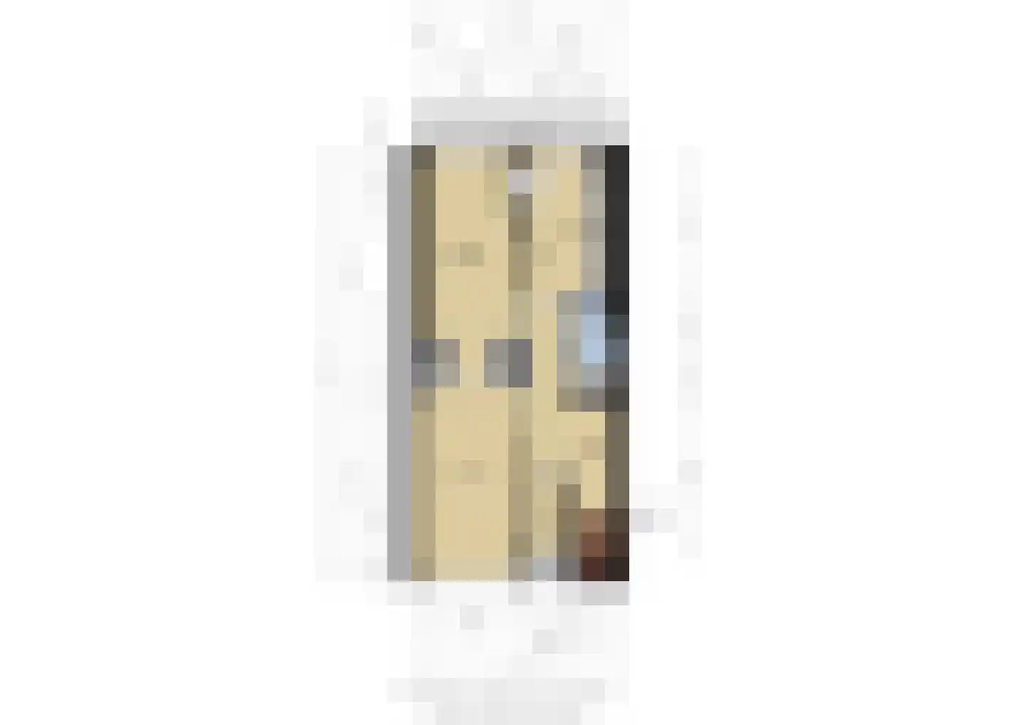 Barneveldstraat 32 Den Haag thumbnail 23
