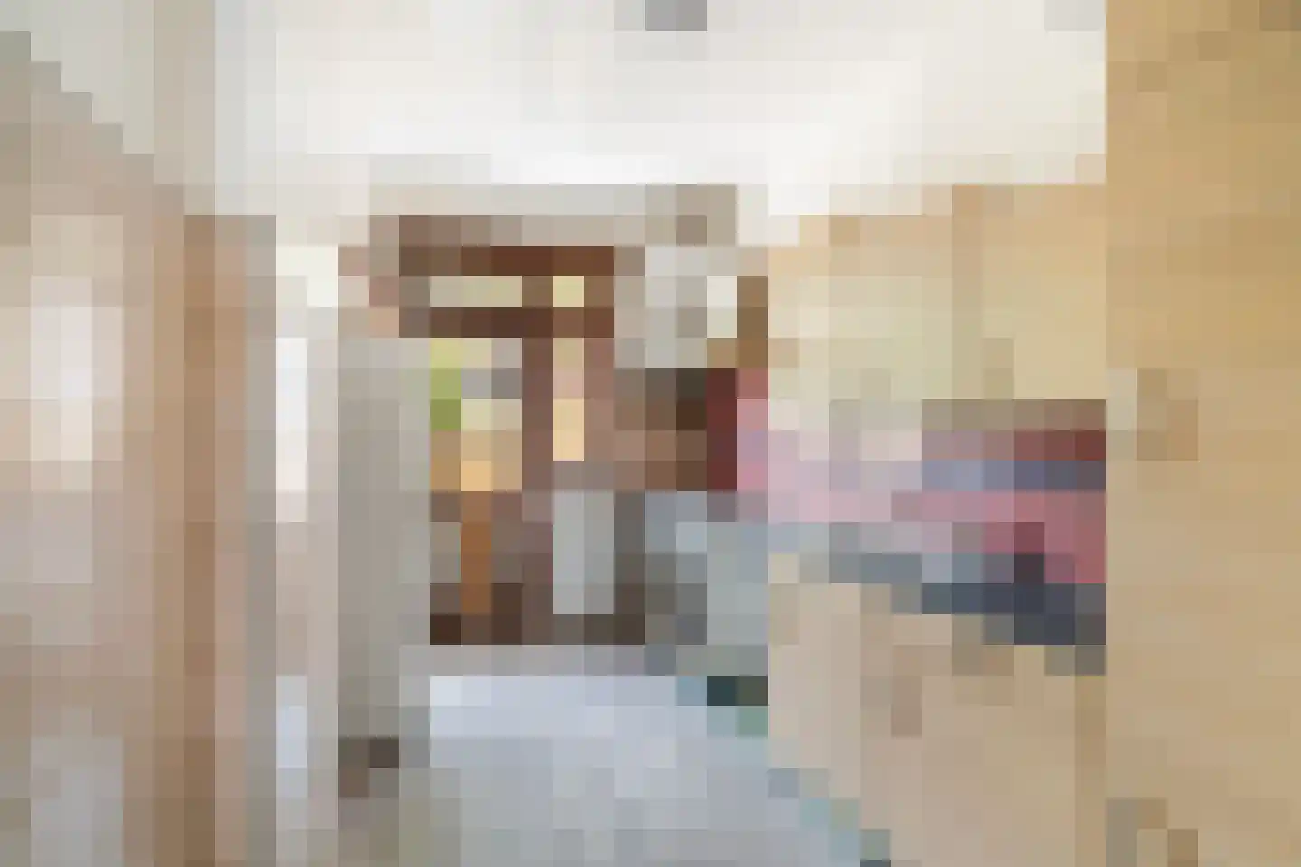 Barneveldstraat 32 Den Haag thumbnail 8