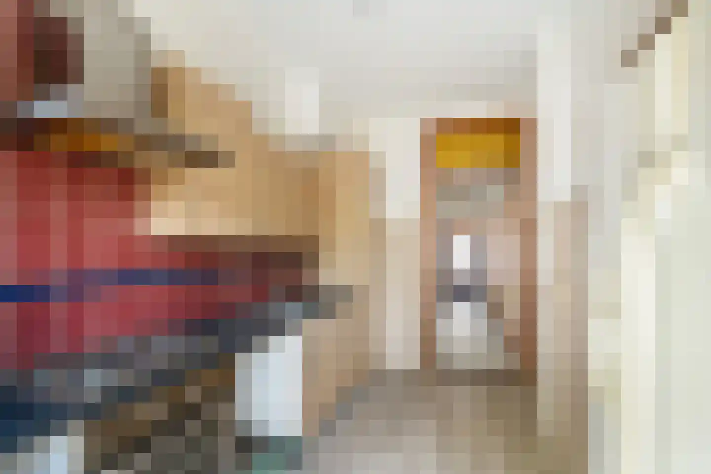 Barneveldstraat 32 Den Haag thumbnail 9