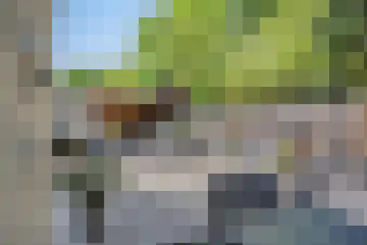 Barneveldstraat 35 Tilburg thumbnail 31