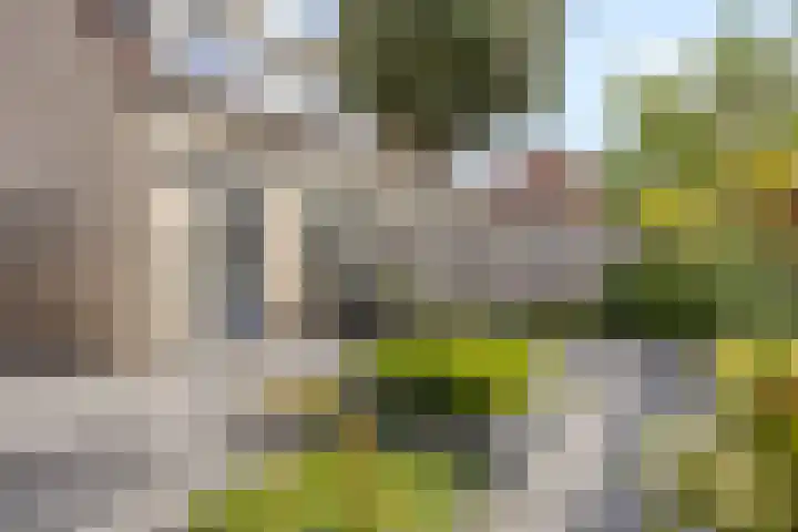 Barneveldstraat 49 Tilburg thumbnail 28