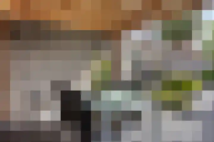 Barneveldstraat 49 Tilburg thumbnail 31