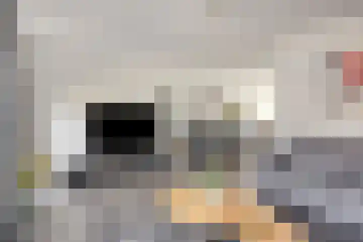 Barneveldstraat 49 Tilburg thumbnail 4