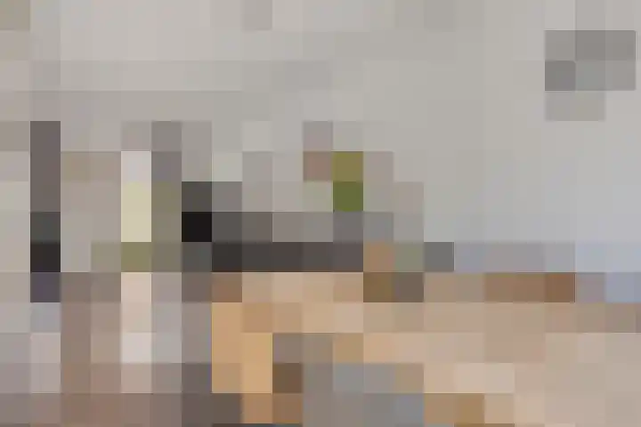 Barneveldstraat 49 Tilburg thumbnail 8