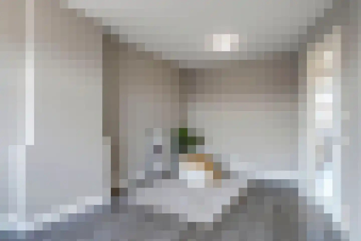 Barneveldstraat 65 Den Haag thumbnail 5