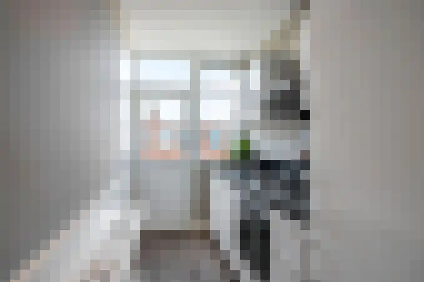 Barneveldstraat 65 Den Haag thumbnail 6
